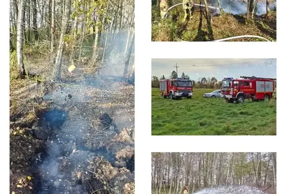 Pożar torfu w Jędrychowie – akcja OSP Sorkwity i OSP Rybno