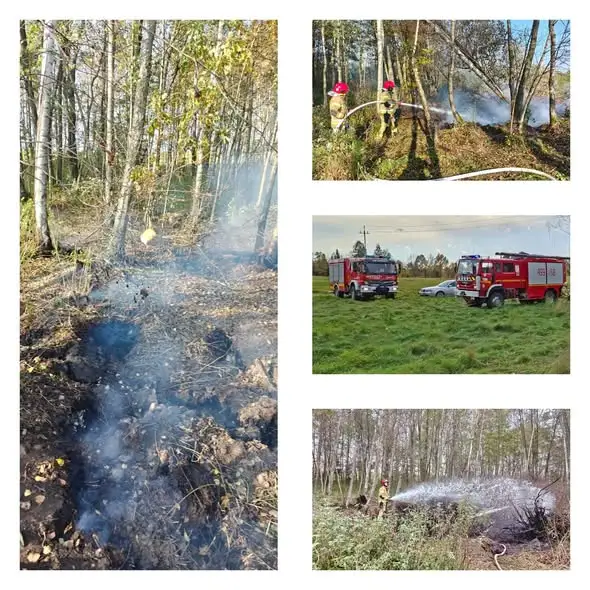 Pożar torfu w Jędrychowie – akcja OSP Sorkwity i OSP Rybno